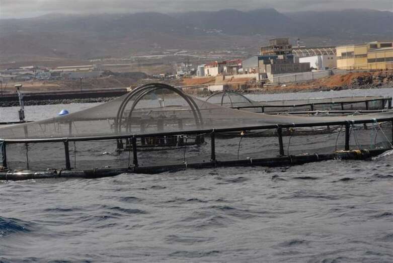 Imagen de una de las jaulas marinas ubicadas en la costa de Telde / TA